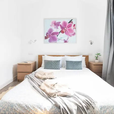 Cozy In Appartamento